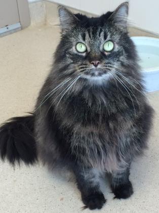 Tina