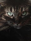 Tina