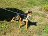 Tracker