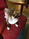 Lucinda: 1 year