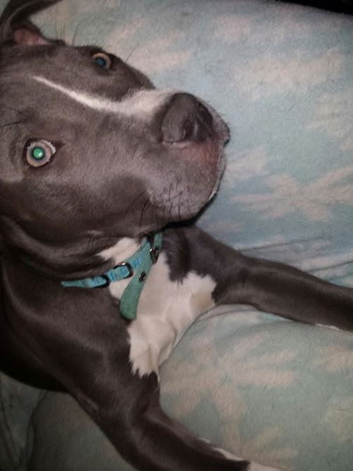 Graycie Juliet