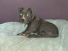 Graycie Juliet