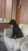 Sox: 4 to 5 months