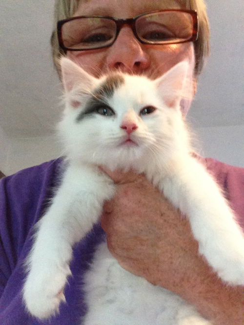 Smudge