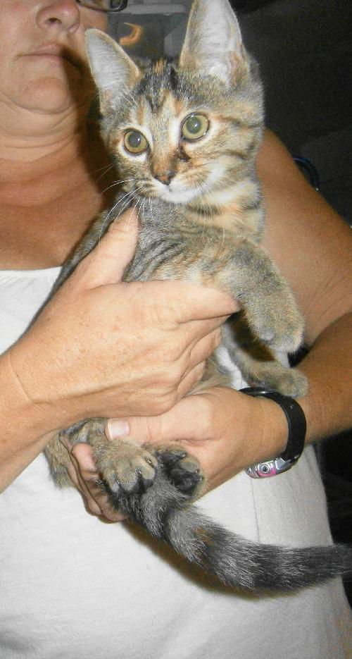 Tina