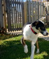 Lucy: 8 months
