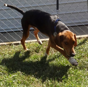 Todd: Terrace Park