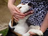 Snoopy
