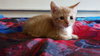 Luigi: 6 weeks is here!