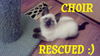 Choir;  ADOPTED!