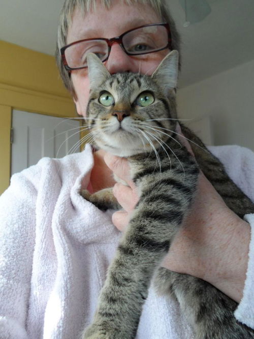 Meowzma