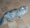 Millie