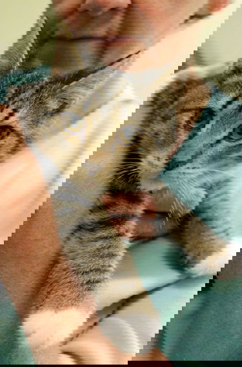 Mittens