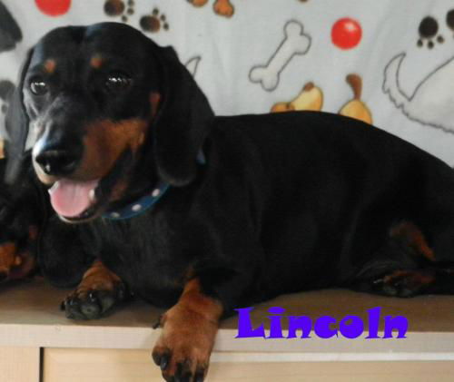 Lincoln