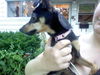 Minnie in Mt Healthy