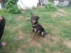 Minnie in Mt Healthy