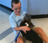 Augie Dawggie: LOVES kids & cats