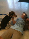 Augie Dawggie: LOVES kids & cats
