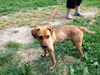 Milo: Loveland