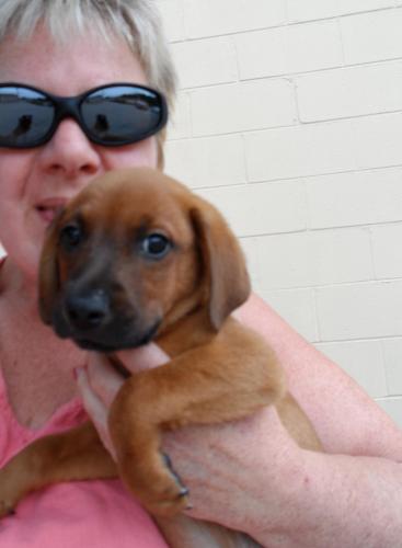 Rudy: 9 weeks