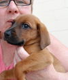Rudy: 9 weeks