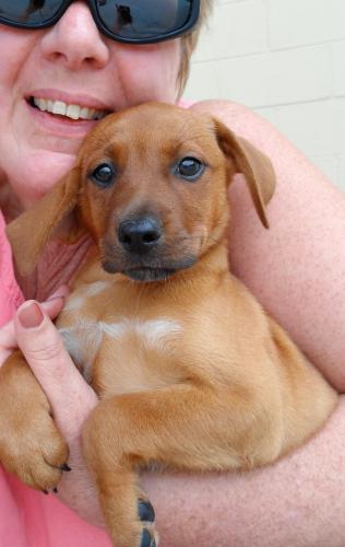 Roxy: 9 weeks