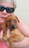 Roxy: 9 weeks
