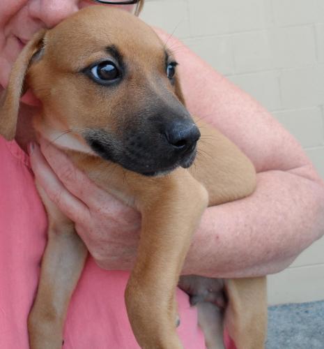 Roddy: 9 weeks