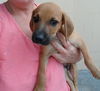 Roddy: 9 weeks