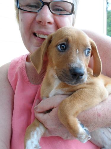 Rusty: 9 weeks