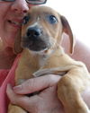 Rusty: 9 weeks