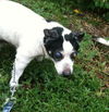 Holly: Hospice Needed