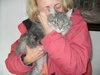 Longhaired Silver