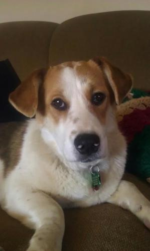 Augusta: ADOPTED!