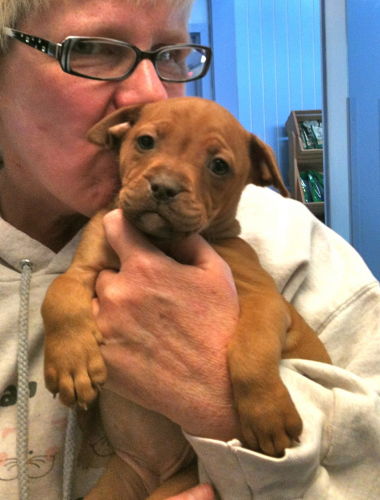 Tootsie: 8 weeks