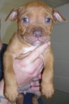 Tootsie: 8 weeks