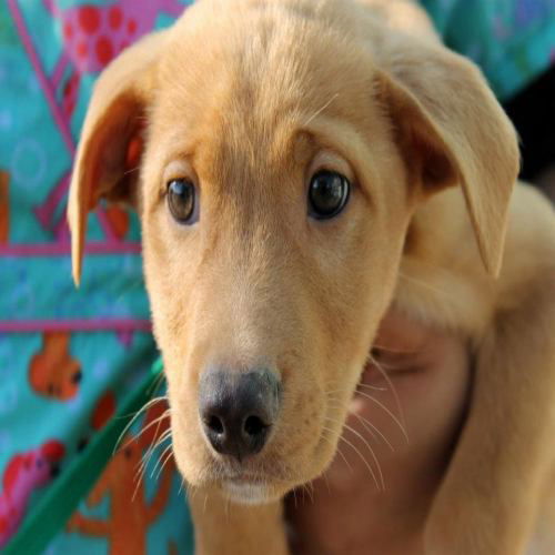Grits: 3 months