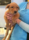 Grits: 3 months