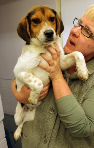 Hunter: Pleasant Plain, OH