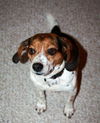 Duncan: Kings Island Area