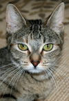 Ruthie