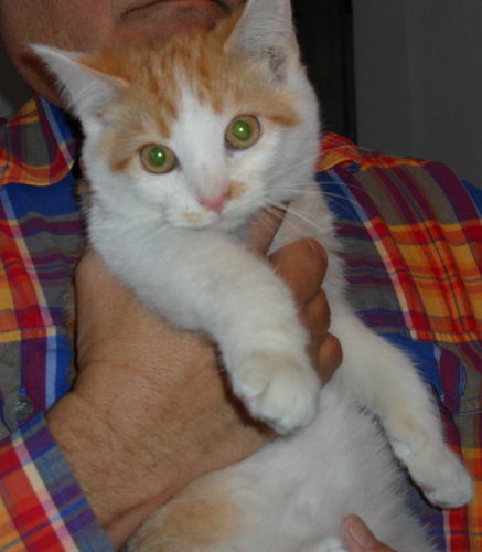 Rudy