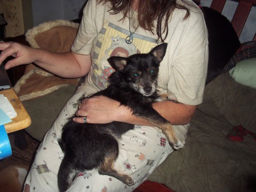 Hurley-9 lbs