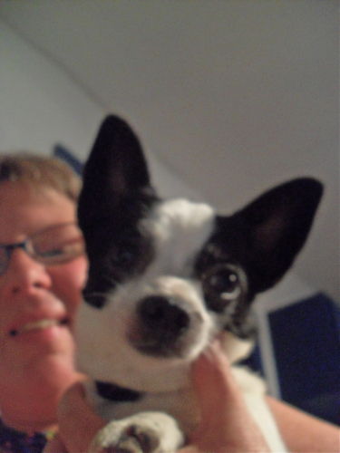 Toodles:8#Cuddler