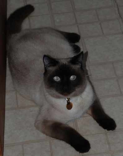 Sita