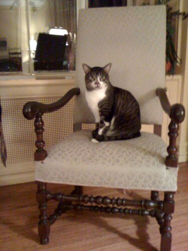 Max