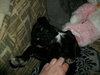 LittleTyke/Scooter