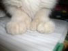Mittens-friendly!!