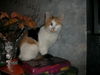 Mittens-friendly!!