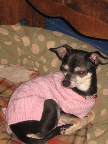Rosita